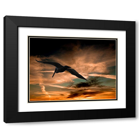 Bird 29 Black Modern Wood Framed Art Print with Double Matting by Lee, Rachel