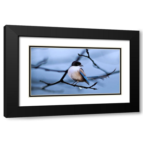 Bird 30 Black Modern Wood Framed Art Print with Double Matting by Lee, Rachel
