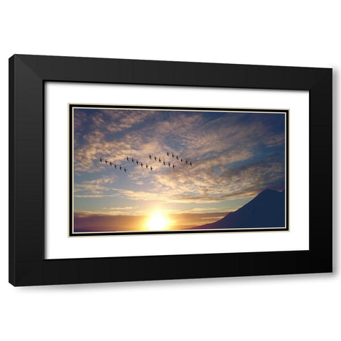 Bird 45 Black Modern Wood Framed Art Print with Double Matting by Lee, Rachel