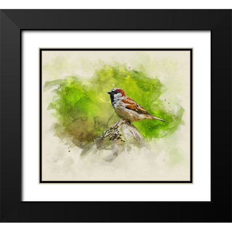 Bird 5 Watercolor Black Modern Wood Framed Art Print with Double Matting by Lee, Rachel