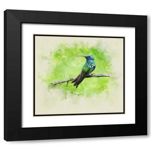 Bird 6 Watercolor Black Modern Wood Framed Art Print with Double Matting by Lee, Rachel