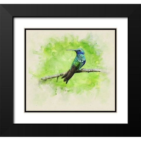 Bird 6 Watercolor Black Modern Wood Framed Art Print with Double Matting by Lee, Rachel