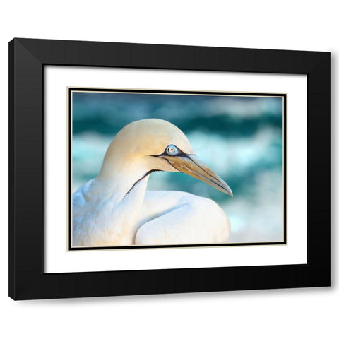Bird 60 Black Modern Wood Framed Art Print with Double Matting by Lee, Rachel