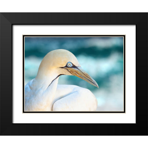 Bird 60 Black Modern Wood Framed Art Print with Double Matting by Lee, Rachel