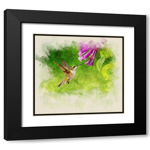 Bird 7 Watercolor Black Modern Wood Framed Art Print with Double Matting by Lee, Rachel