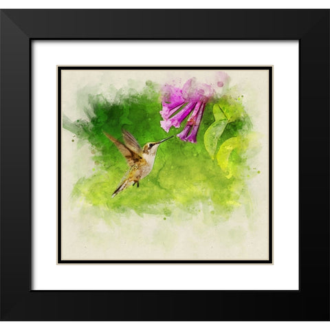 Bird 7 Watercolor Black Modern Wood Framed Art Print with Double Matting by Lee, Rachel