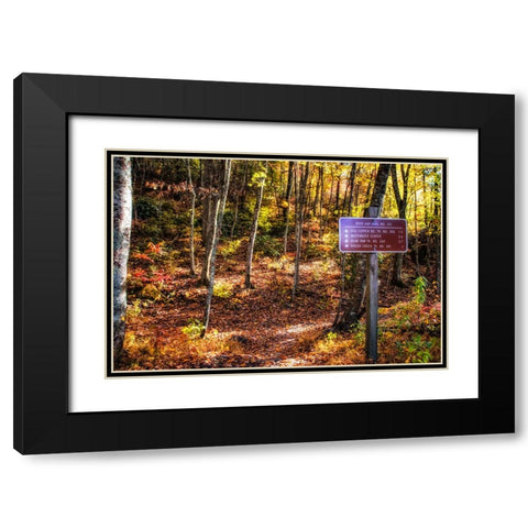 Boyd Gap Trail Black Modern Wood Framed Art Print with Double Matting by Lee, Rachel