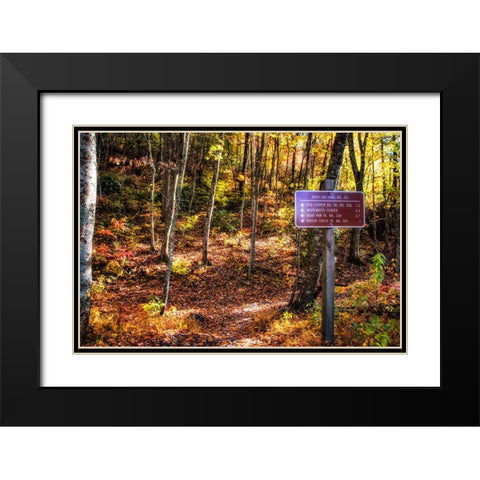Boyd Gap Trail Black Modern Wood Framed Art Print with Double Matting by Lee, Rachel