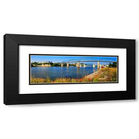 Bridge Poppies Color Black Modern Wood Framed Art Print with Double Matting by Lee, Rachel