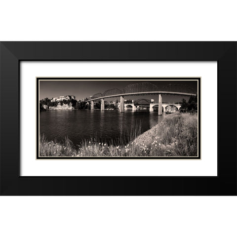 Bridge Poppies Sepia Black Modern Wood Framed Art Print with Double Matting by Lee, Rachel