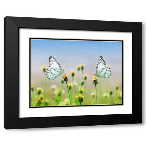 Butterfly 10 Black Modern Wood Framed Art Print with Double Matting by Lee, Rachel