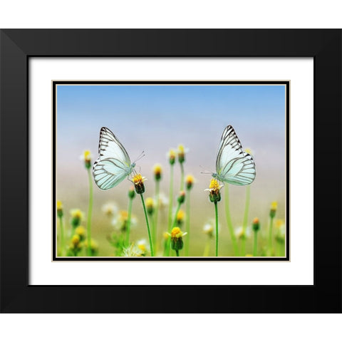 Butterfly 10 Black Modern Wood Framed Art Print with Double Matting by Lee, Rachel