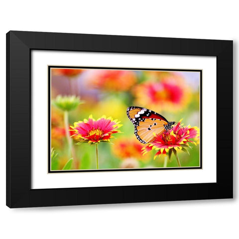 Butterfly 6 Black Modern Wood Framed Art Print with Double Matting by Lee, Rachel