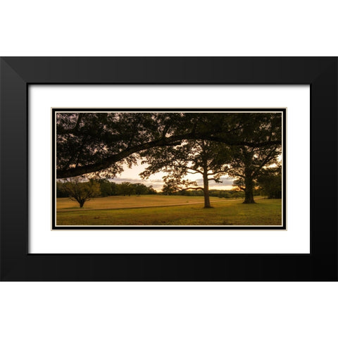 Chickamauga 16 Black Modern Wood Framed Art Print with Double Matting by Lee, Rachel