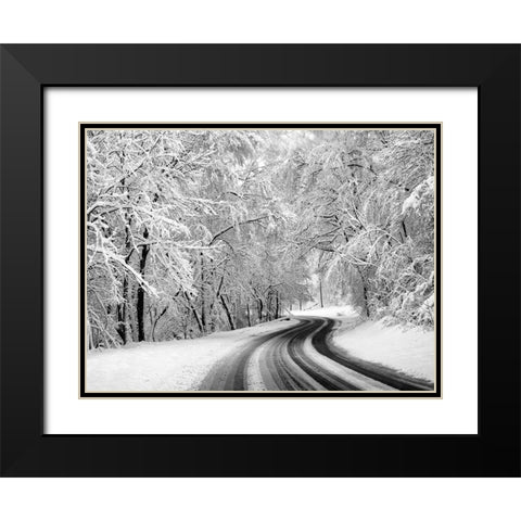 Country Road 23 Black Modern Wood Framed Art Print with Double Matting by Lee, Rachel