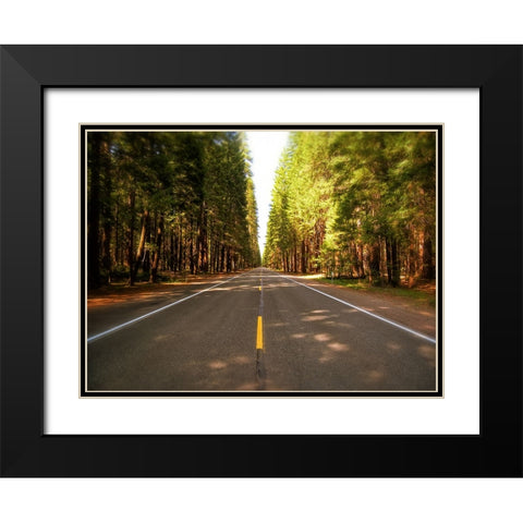 Country Road 3 Black Modern Wood Framed Art Print with Double Matting by Lee, Rachel