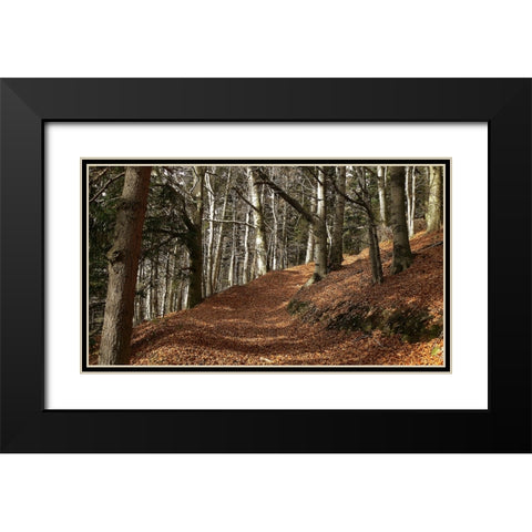Country Road 5 Black Modern Wood Framed Art Print with Double Matting by Lee, Rachel