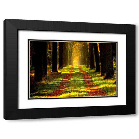 Country Road 6 Black Modern Wood Framed Art Print with Double Matting by Lee, Rachel