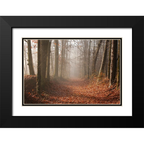 Country Road 7 Black Modern Wood Framed Art Print with Double Matting by Lee, Rachel