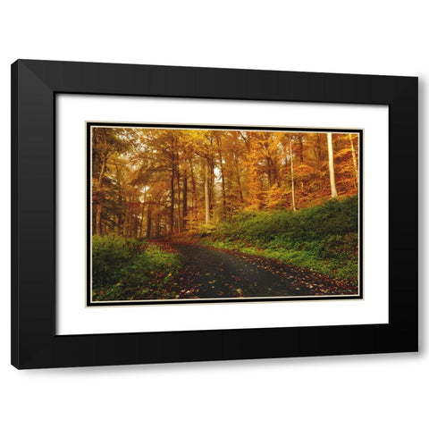 Country Road 8 Black Modern Wood Framed Art Print with Double Matting by Lee, Rachel