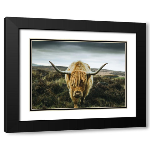 Cow 1 Black Modern Wood Framed Art Print with Double Matting by Lee, Rachel