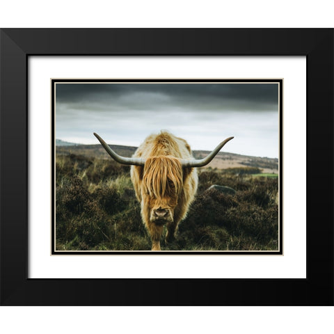Cow 1 Black Modern Wood Framed Art Print with Double Matting by Lee, Rachel