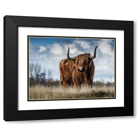 Cow 2 Black Modern Wood Framed Art Print with Double Matting by Lee, Rachel