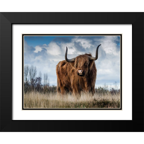 Cow 2 Black Modern Wood Framed Art Print with Double Matting by Lee, Rachel
