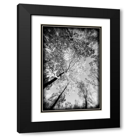 Fall Trees BW Holga Black Modern Wood Framed Art Print with Double Matting by Lee, Rachel