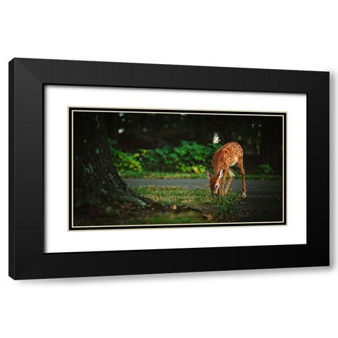 Fawn Black Modern Wood Framed Art Print with Double Matting by Lee, Rachel