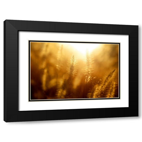 Field 10 Black Modern Wood Framed Art Print with Double Matting by Lee, Rachel