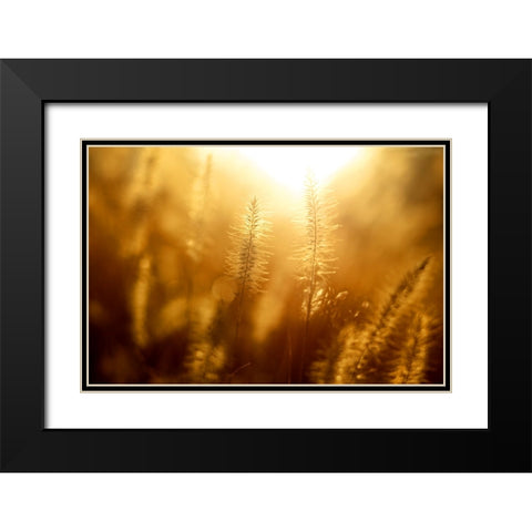 Field 10 Black Modern Wood Framed Art Print with Double Matting by Lee, Rachel