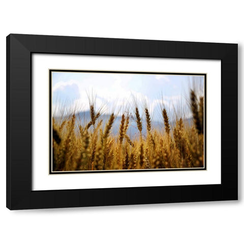 Field 11 Black Modern Wood Framed Art Print with Double Matting by Lee, Rachel
