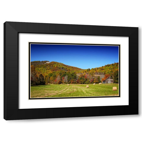 Field 13 Black Modern Wood Framed Art Print with Double Matting by Lee, Rachel