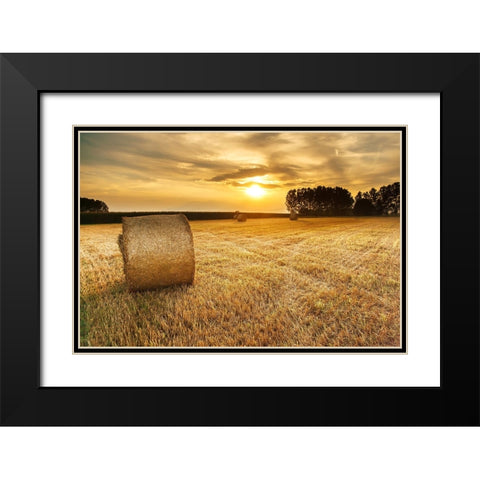 Field 14 Black Modern Wood Framed Art Print with Double Matting by Lee, Rachel