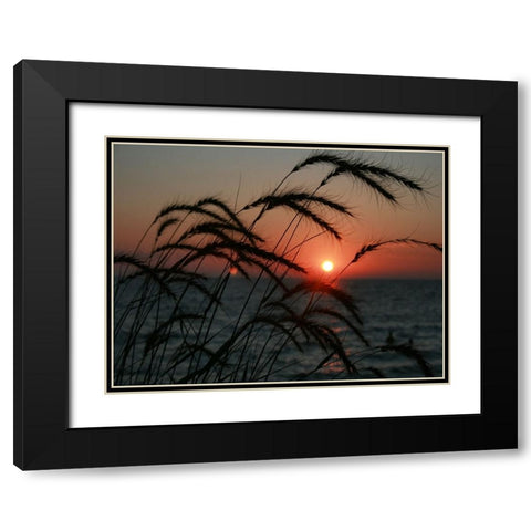 Field 18 Black Modern Wood Framed Art Print with Double Matting by Lee, Rachel