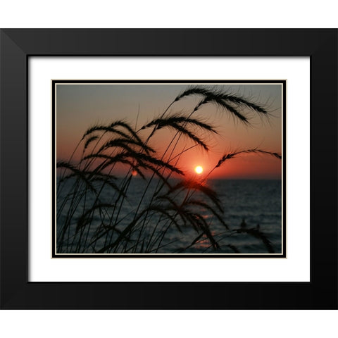 Field 18 Black Modern Wood Framed Art Print with Double Matting by Lee, Rachel