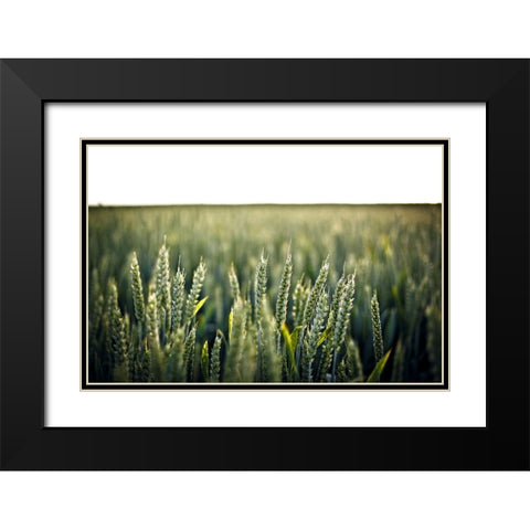 Field 2 Black Modern Wood Framed Art Print with Double Matting by Lee, Rachel