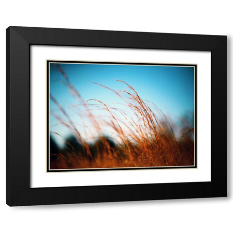 Field 20 Black Modern Wood Framed Art Print with Double Matting by Lee, Rachel