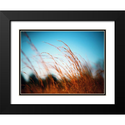 Field 20 Black Modern Wood Framed Art Print with Double Matting by Lee, Rachel
