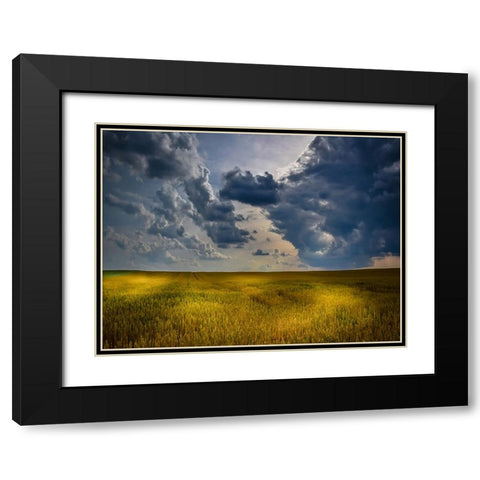Field 21 Black Modern Wood Framed Art Print with Double Matting by Lee, Rachel
