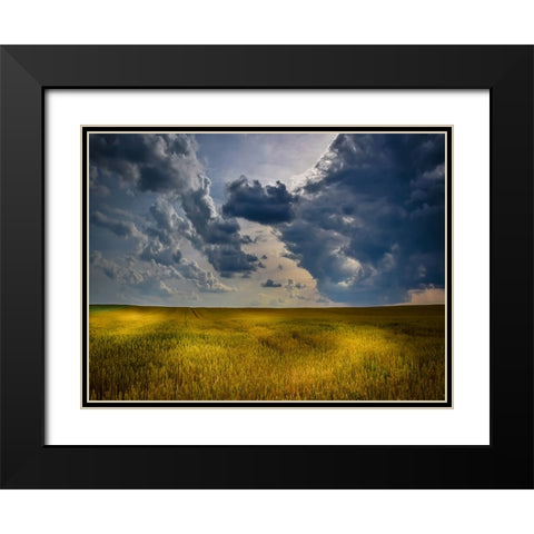 Field 21 Black Modern Wood Framed Art Print with Double Matting by Lee, Rachel