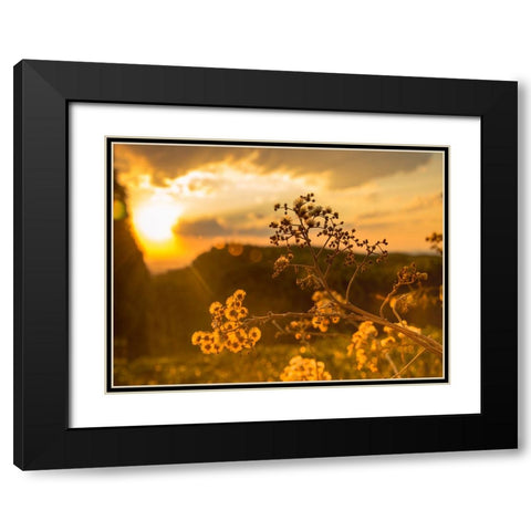 Field 23 Black Modern Wood Framed Art Print with Double Matting by Lee, Rachel