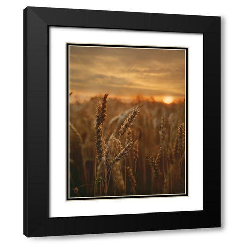 Field 24 Black Modern Wood Framed Art Print with Double Matting by Lee, Rachel