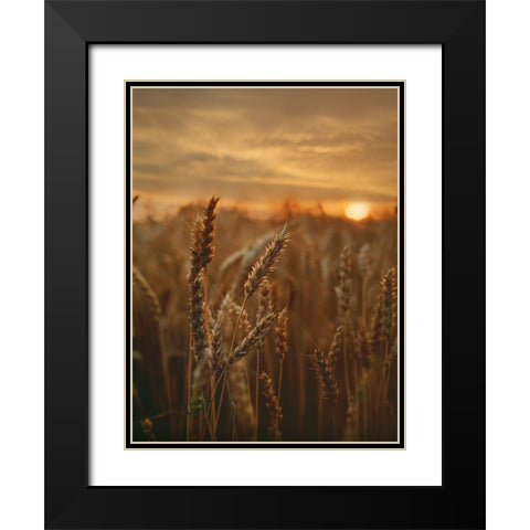 Field 24 Black Modern Wood Framed Art Print with Double Matting by Lee, Rachel