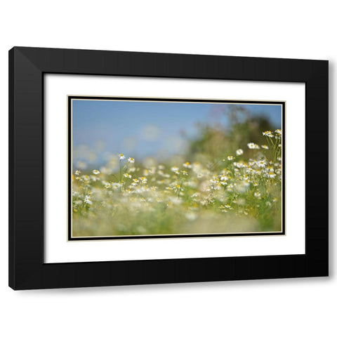 Field 3 Black Modern Wood Framed Art Print with Double Matting by Lee, Rachel