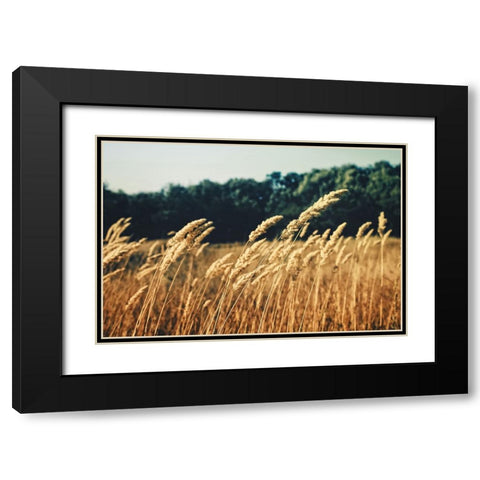 Field 4 Black Modern Wood Framed Art Print with Double Matting by Lee, Rachel