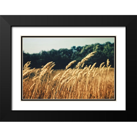Field 4 Black Modern Wood Framed Art Print with Double Matting by Lee, Rachel