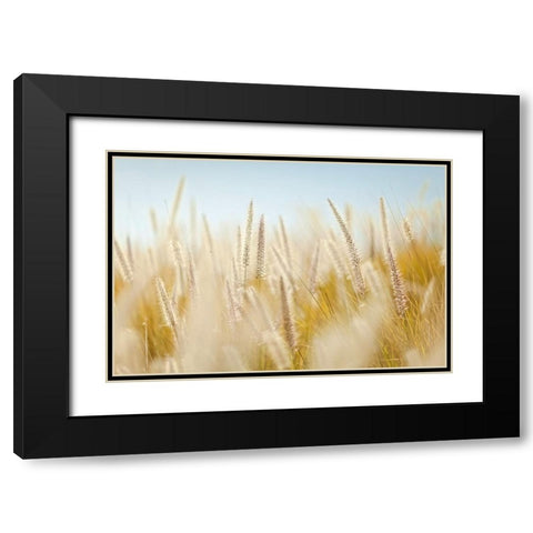 Field 6 Black Modern Wood Framed Art Print with Double Matting by Lee, Rachel