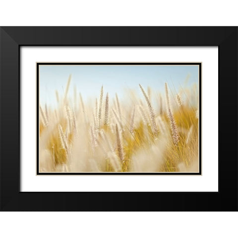 Field 6 Black Modern Wood Framed Art Print with Double Matting by Lee, Rachel